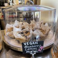 Amazing looking muffins!  at Kollective Coffee & Tea in Hot Springs