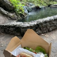 With a side of salad and nature. Nature found close by. Across the street    at Kollective Coffee & Tea in Hot Springs
