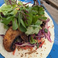 Mushroom soft shell taco - these were delicious!! at eS Bar in Keswick