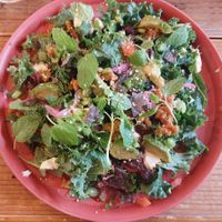  at Hemp Cafe Tokyo in Tokyo