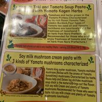 Some of the sauce options (other options like curry sauce aren't pictured here)  at Kururu in Nara