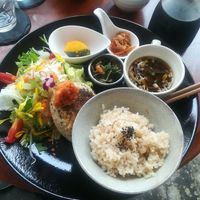 Tofu burger at Kururu in Nara