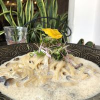 Mushroom cream pasta  at Kururu in Nara