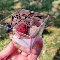 Mousse with berries and chocolate at Bagar'n Hornstull in Stockholm