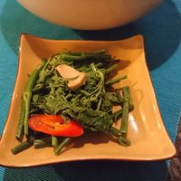   at The Green Room in Taipei