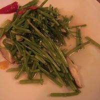 morning glory at The Green Room in Taipei