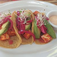 Tacos al pastor at Aroma Isla in Isla Mujeres