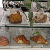  at Leaves House | in Montreal