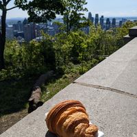 Croissant carried up to mount royal at Leaves House | in Montreal