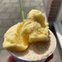 Passion fruit and hazelnut  at Massimo Gelato - De Pijp in Amsterdam