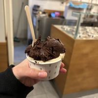 vegan hazelnut with vegan dark chocolate  at Massimo Gelato - De Pijp in Amsterdam