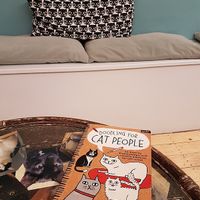 Gemma Correll book at DreamCATchers in Ghent