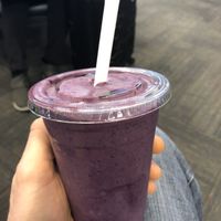 Flax Master Smoothie (Vegan) at LAX - Earthbar - T6 in Los Angeles