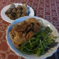 cao lau and springrolls at Nhat Da in Hoi An