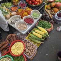 The market at Nhat Da in Hoi An
