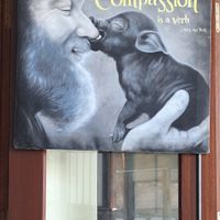  at Nhat Da in Hoi An