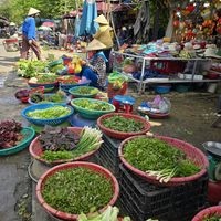  at Nhat Da in Hoi An