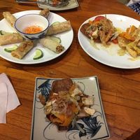 Wontons and spring rolls at Nhat Da in Hoi An