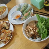 fresh springrolls, dumpling soup, wontons, noodles with mock meat at Nhat Da in Hoi An