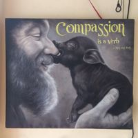 Compassion at Nhat Da in Hoi An