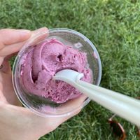 Brambleberry oat ice cream from MDI Ice Cream  at Mount Desert Island Ice Cream - Firefly Ln in Bar Harbor