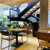 Inside  at Consulado Vegetal in Jardin