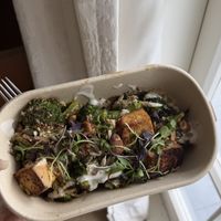   at Street Organics in Takapuna