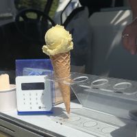 VegOut West ‘25  at Ice Green in Cardigan