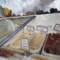  at Ice Green in Cardigan