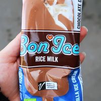 Vegan rice milk ice cream at Biodelice in Corsica