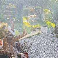   at Nautic Bar in Praia De Mira