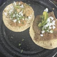   at Por Siempre Vegana Vol II in Mexico City