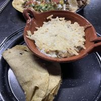   at Por Siempre Vegana Vol II in Mexico City