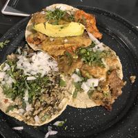   at Por Siempre Vegana Vol II in Mexico City