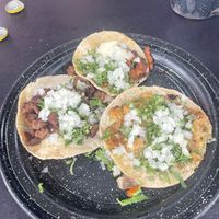   at Por Siempre Vegana Vol II in Mexico City