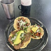   at Por Siempre Vegana Vol II in Mexico City