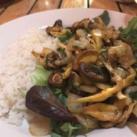 “Attack of the Wild Mushrooms” Sautéed fresh shiitake mushrooms and onions on white rice. $18 not including tax and tip at Xicohtencatl Restaurant in Great Barrington