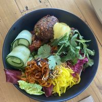 Korma chameleon   at Pixie and the Hawk in Torrensville