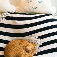 sleeping at Salad Memory in Phuket