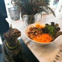 hungry at Salad Memory in Phuket