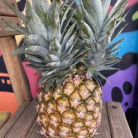 Double headed pineapple! at Charlie's Raw Squeeze in Clayfield