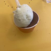 Lemon basil and chocolate  at Alberto Gelateria in Corniglia