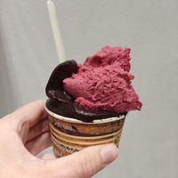 Chocolate and forest fruit at Gelateria Corniglia in Corniglia