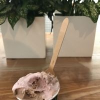 Chocolate cookie dough & Strawbery rhubarb pie at FoMu - Tremont in Boston