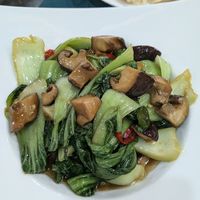 Pak choi with mushrooms at Shangdao Vegetarian 上道素食 in Xian