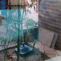 Kitty!! at Shangdao Vegetarian 上道素食 in Xian