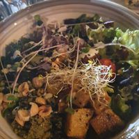  at Bistro Arbol in Lanzarote