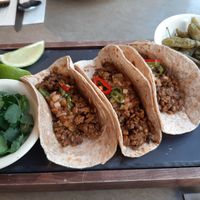 Lentil taco at Sun the Bud - 썬더버드 in Seoul