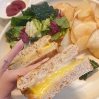 Vegan grilled cheese sandwich at Sun the Bud - 썬더버드 in Seoul