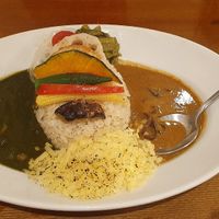 Vegan combo meal with vegan cheese at Wakakusa Curry in Nara